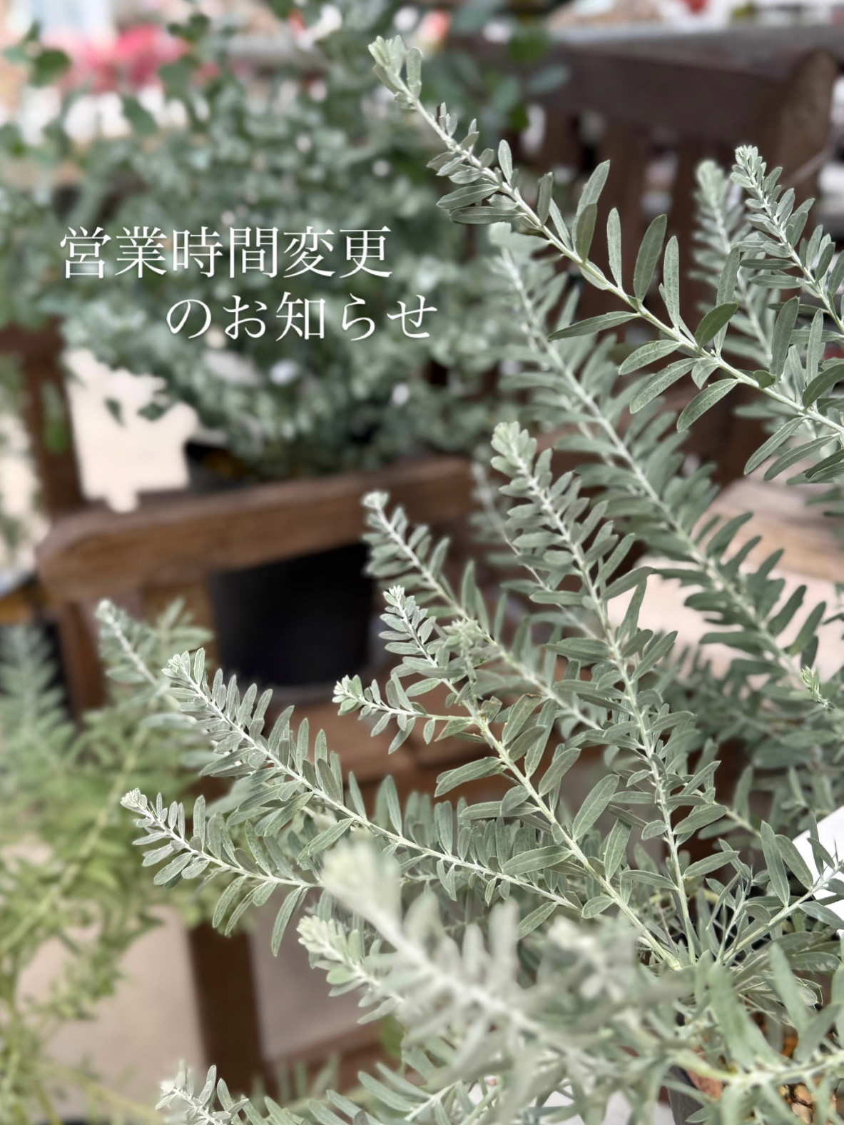 営業時間変更のお知らせ