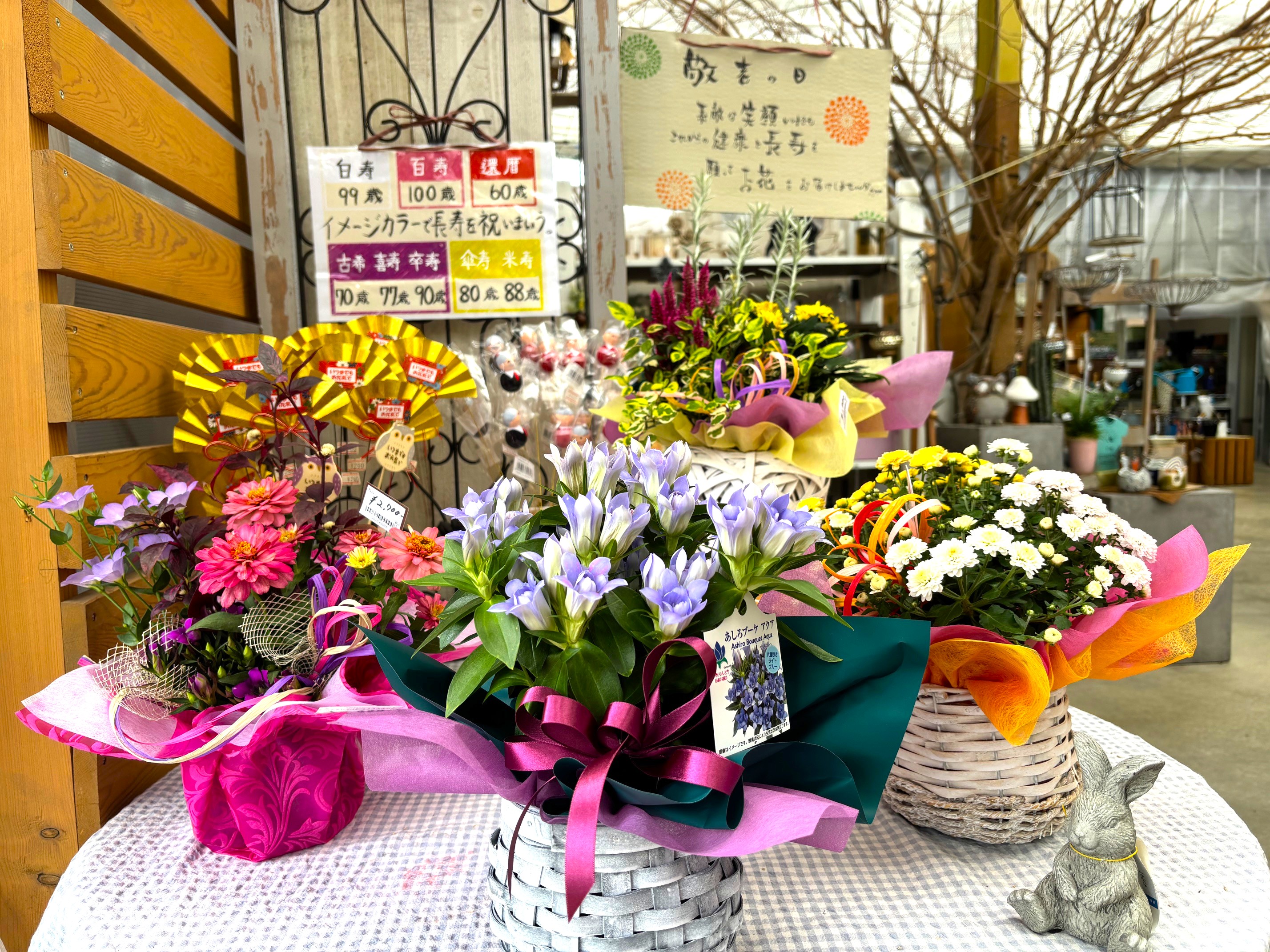 10-敬老の日🌼ギフトご用意しております