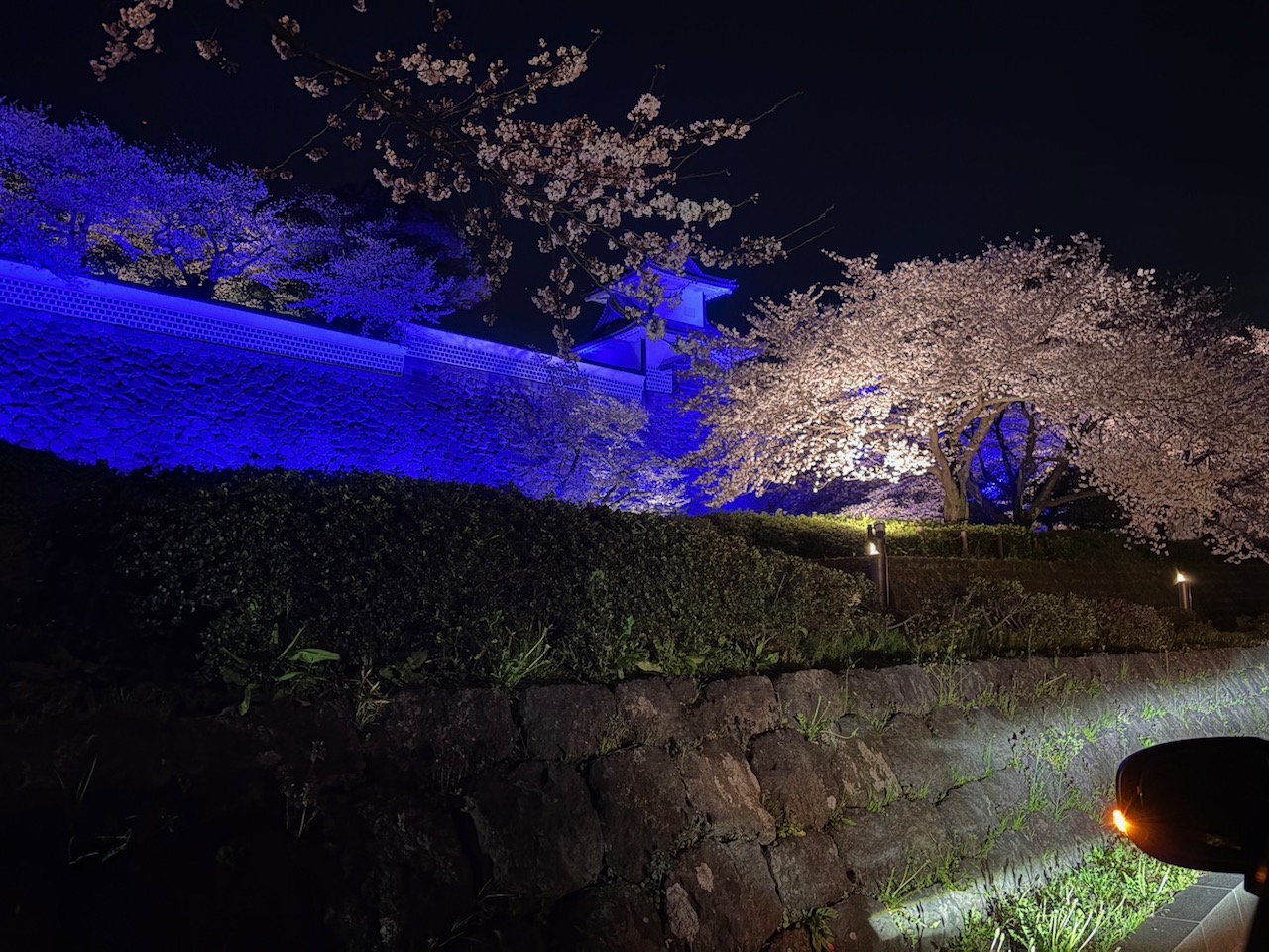 9-桜とお城