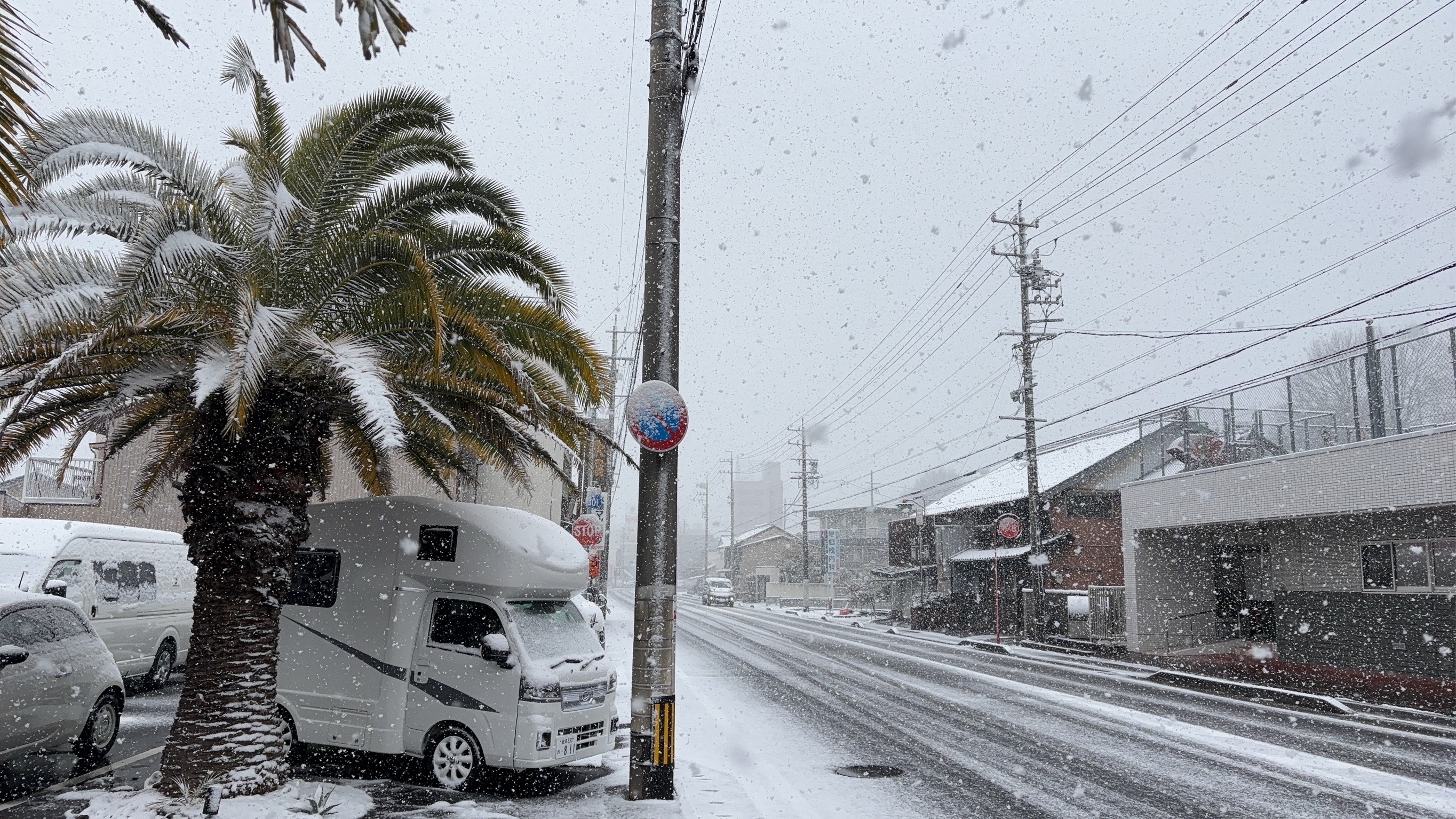 0-今年最後の雪か？
