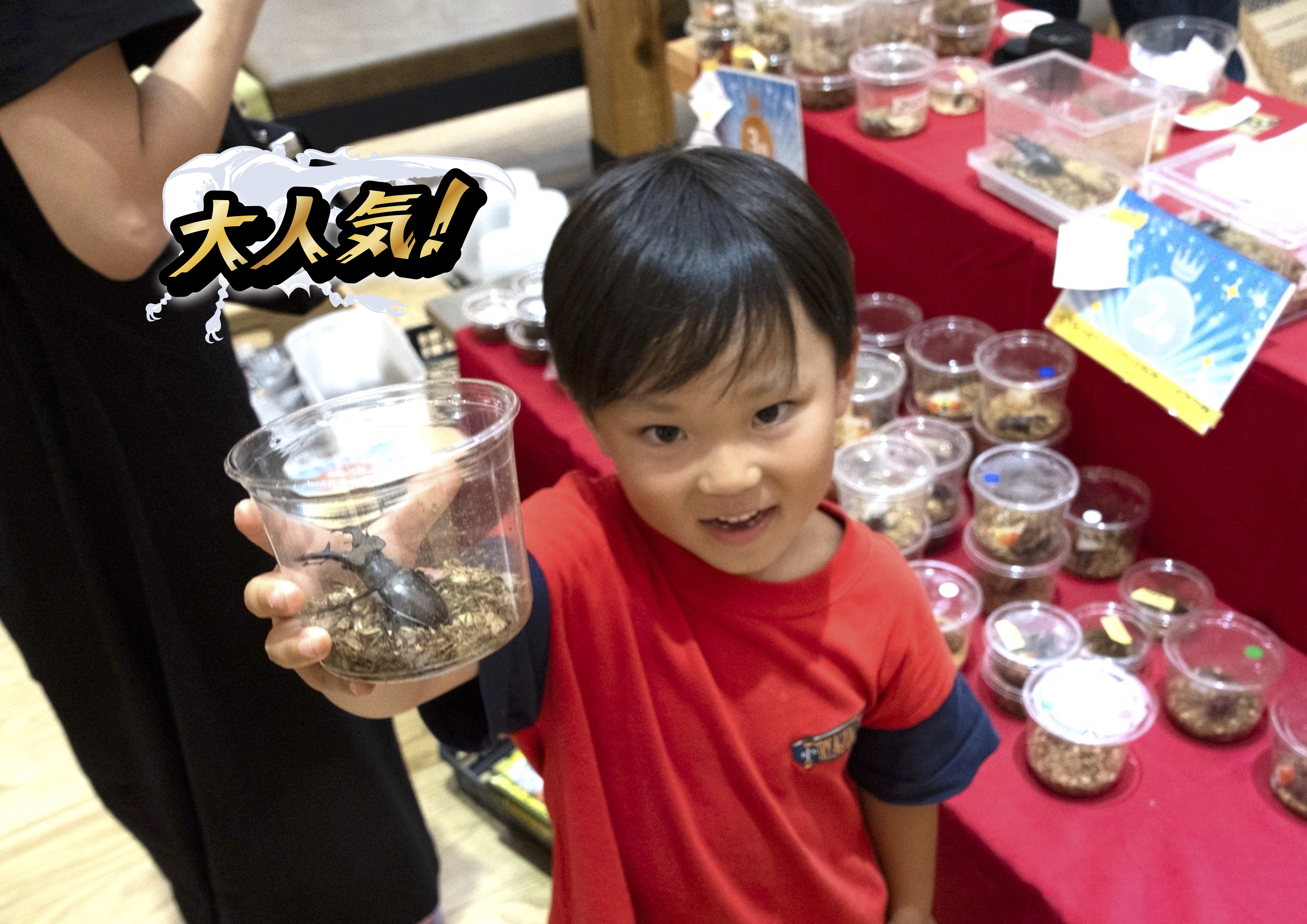 7-【夏限定】 昆虫くじ