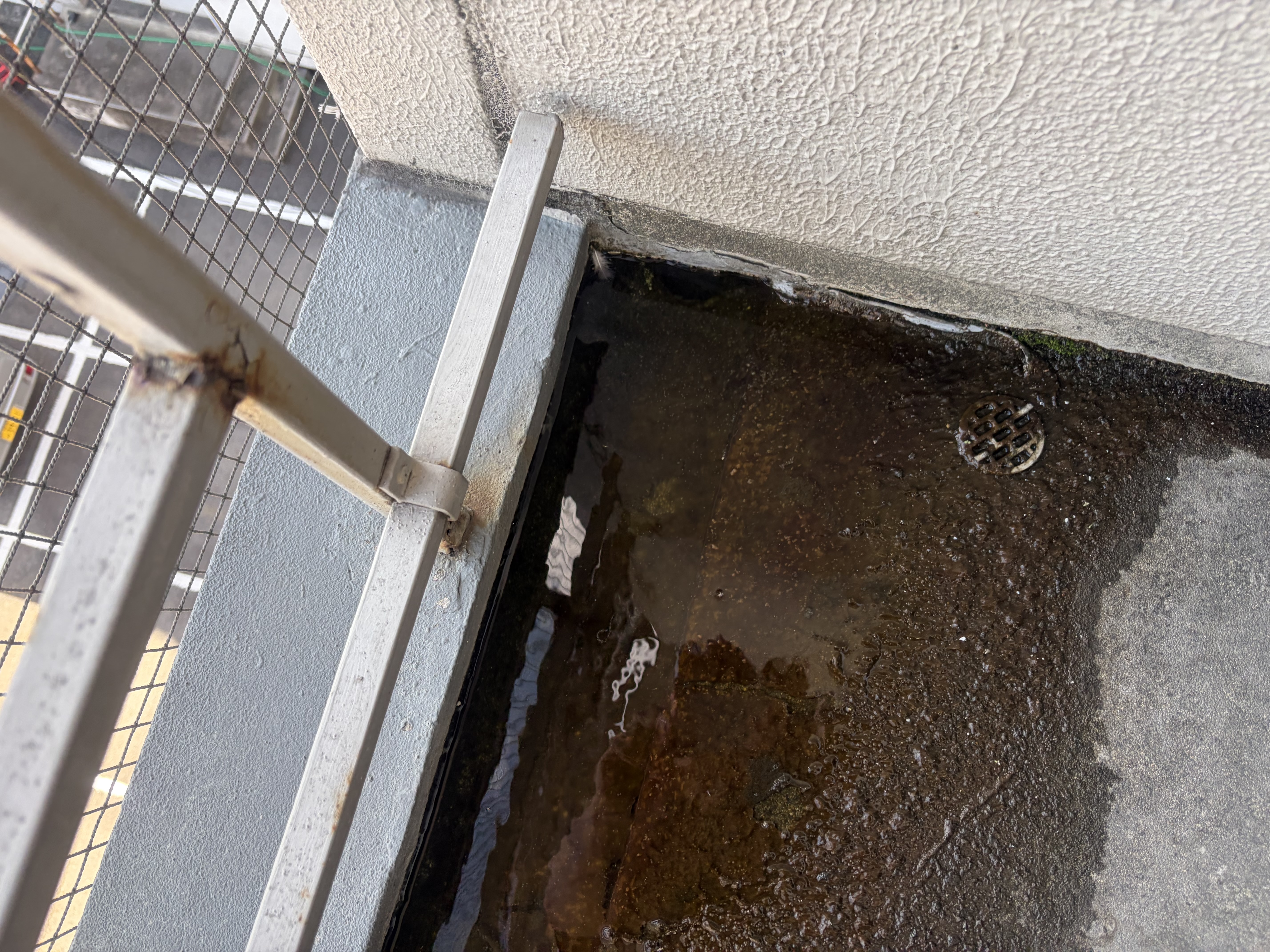 1-ベランダ排水口の詰まり解消