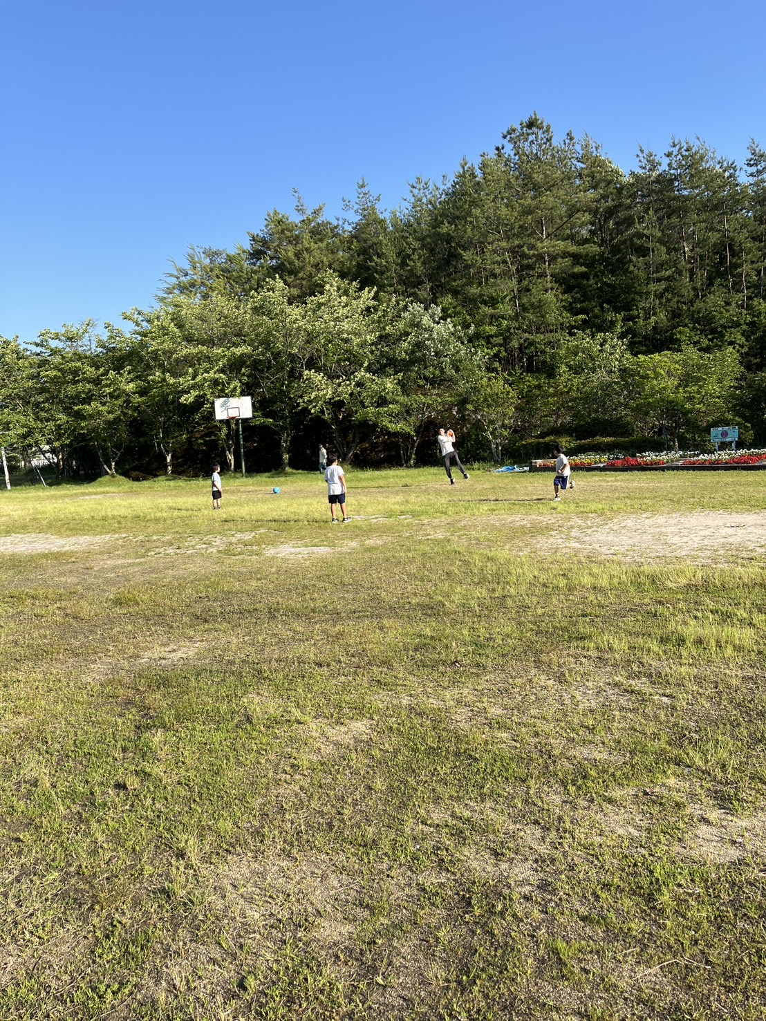 1-運動療育