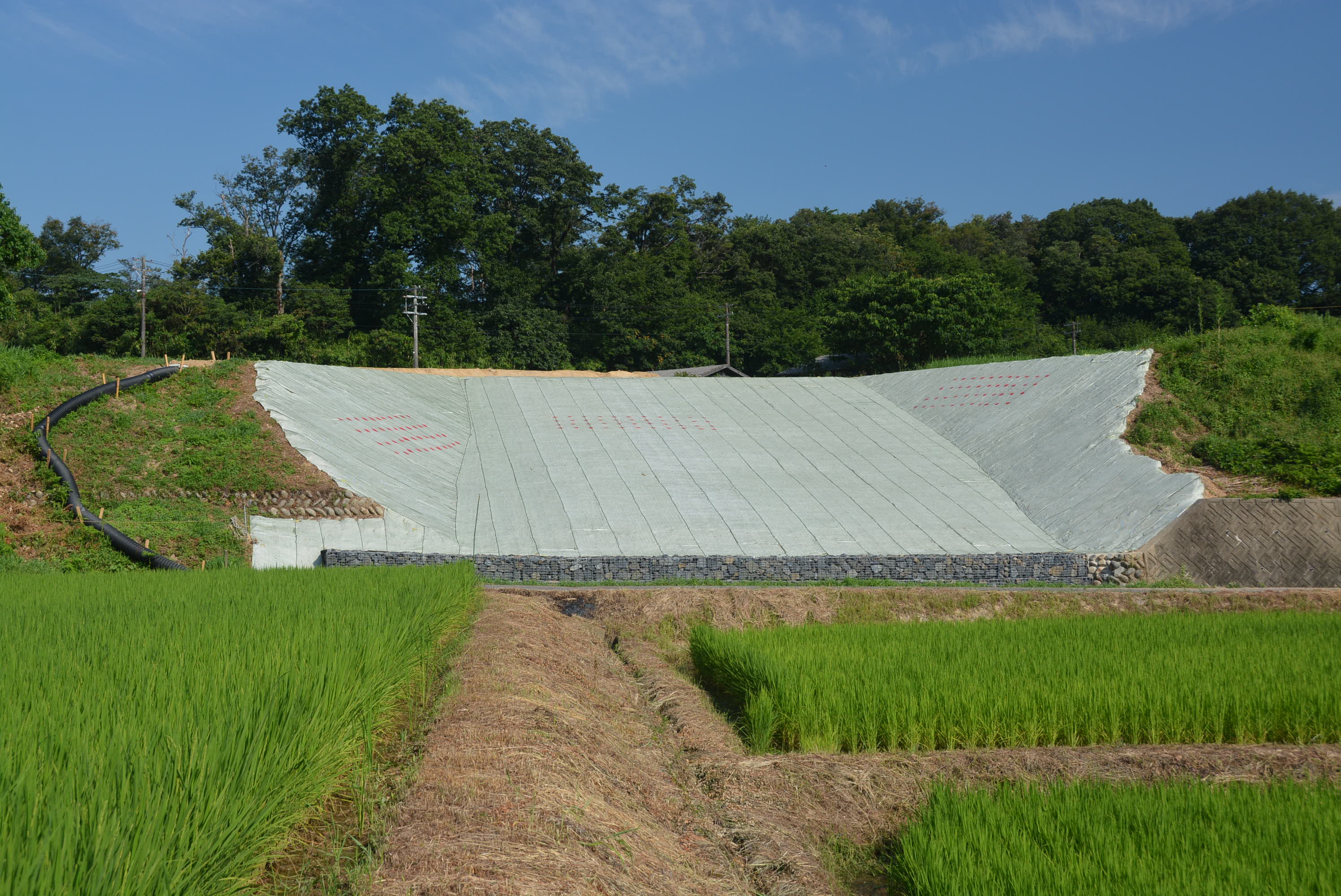 畜産研究所災害復旧工事
