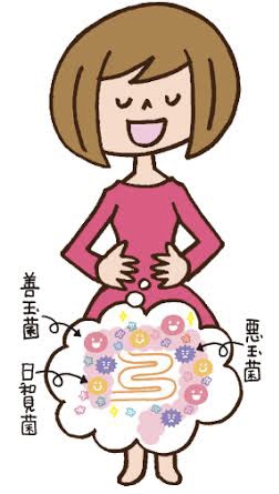 7-腸活