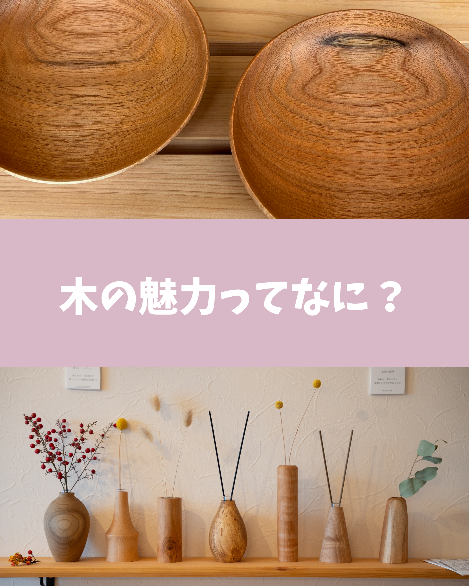6-木の魅力ってなに？