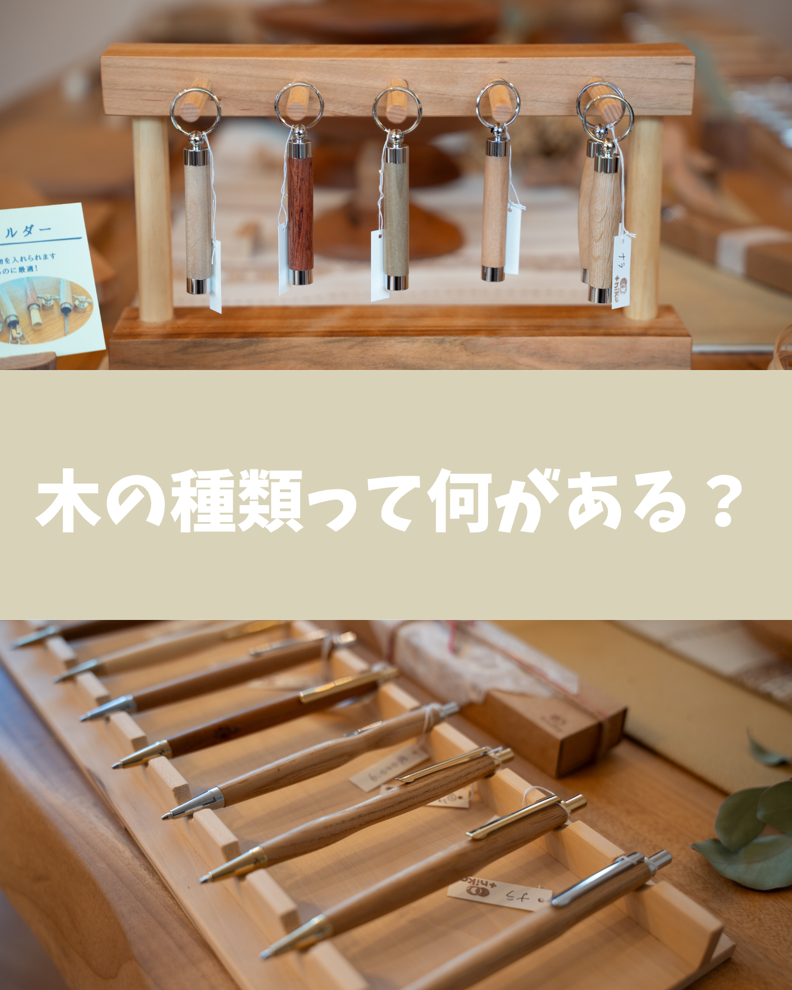 8-木の種類ってなにがある？特徴・違いを解説