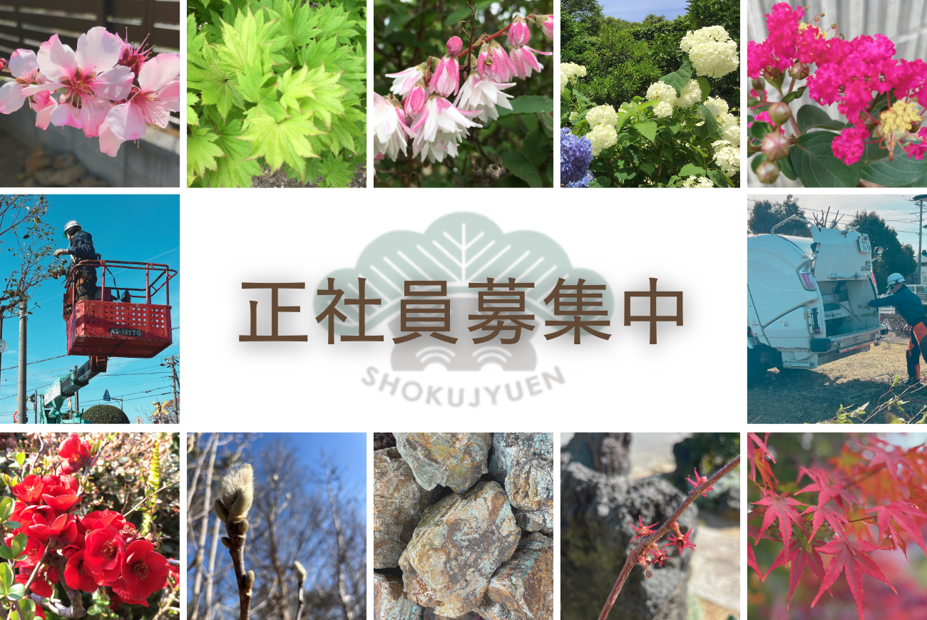 0-★未経験OK・経験者歓迎★庭づくりや緑の維持管理　