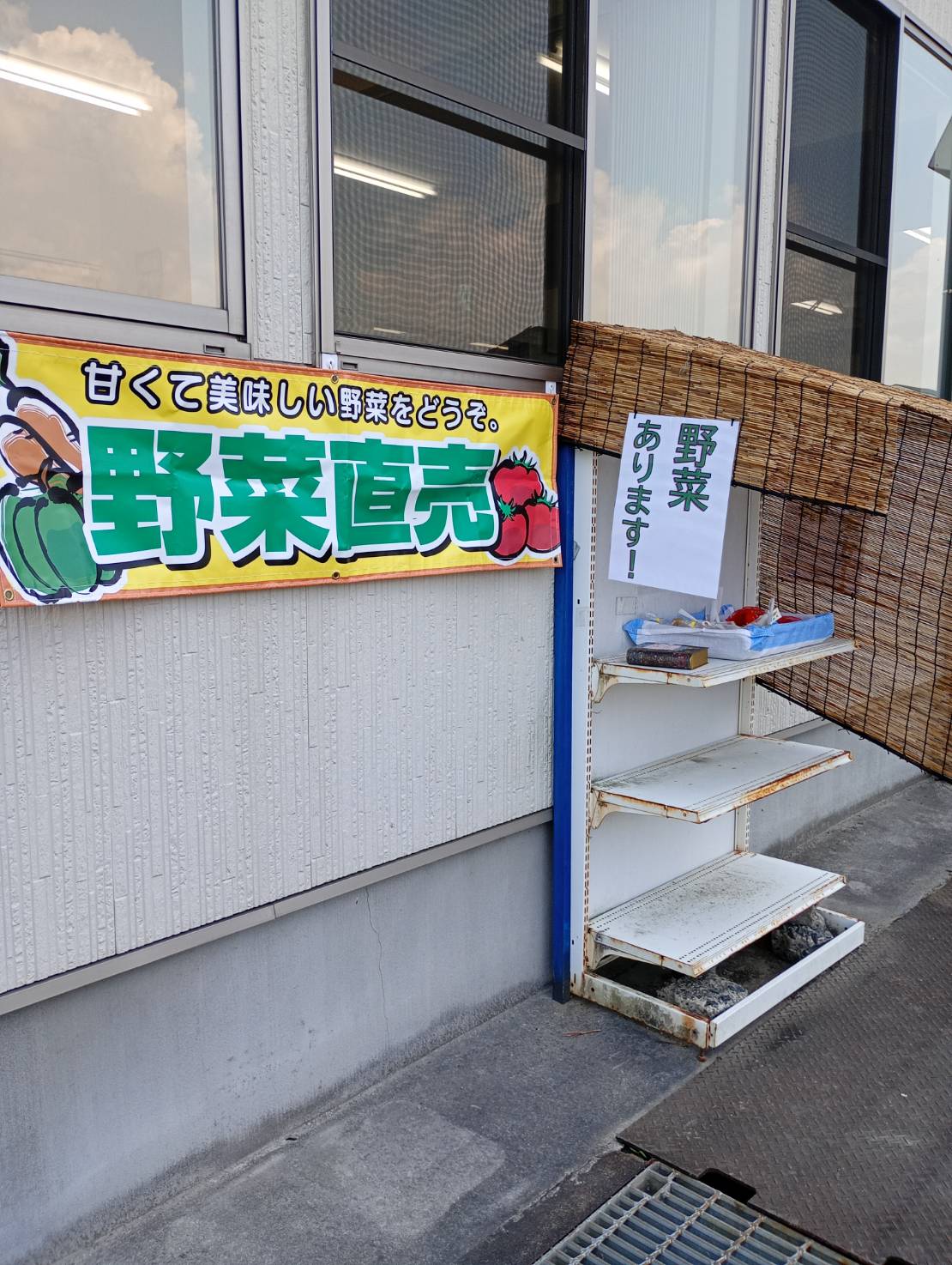 1-朝採り野菜を直売しています。