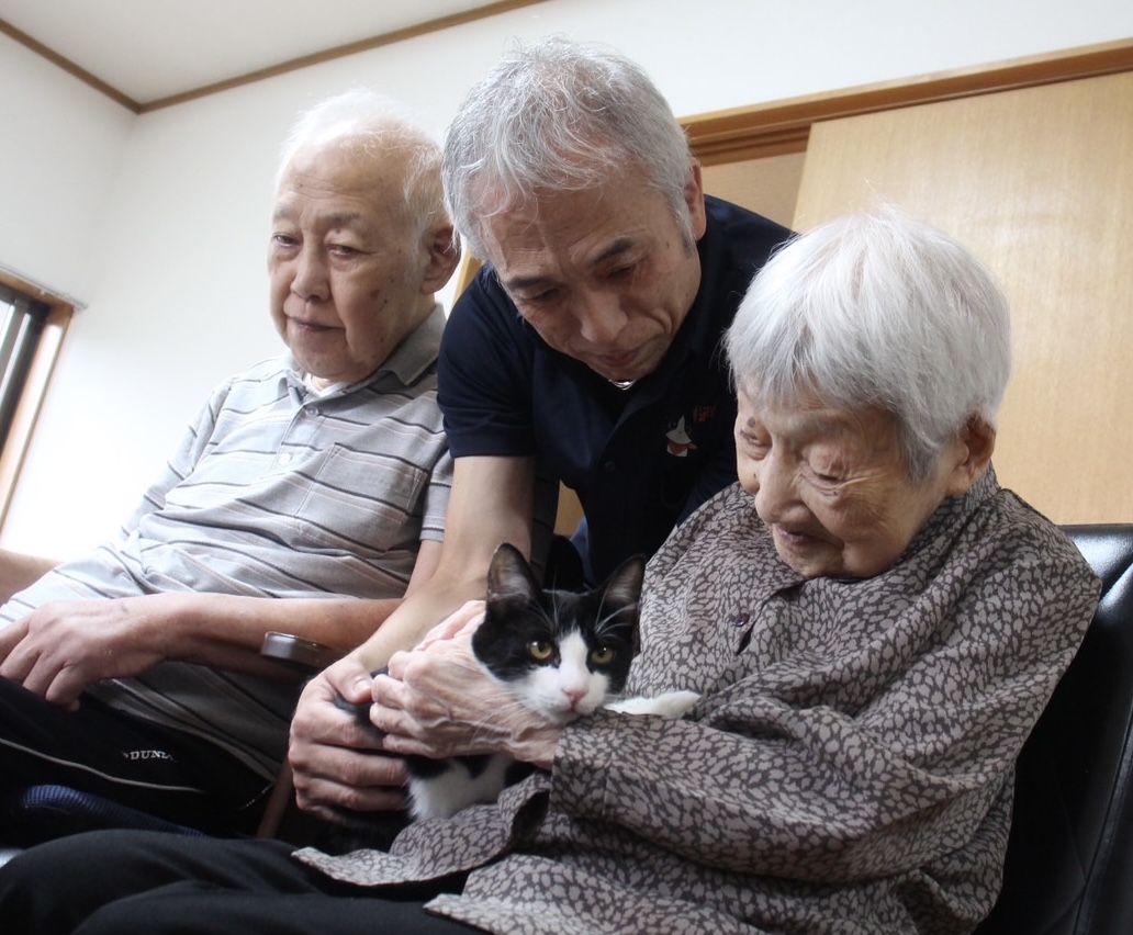 1-キャットセラピー