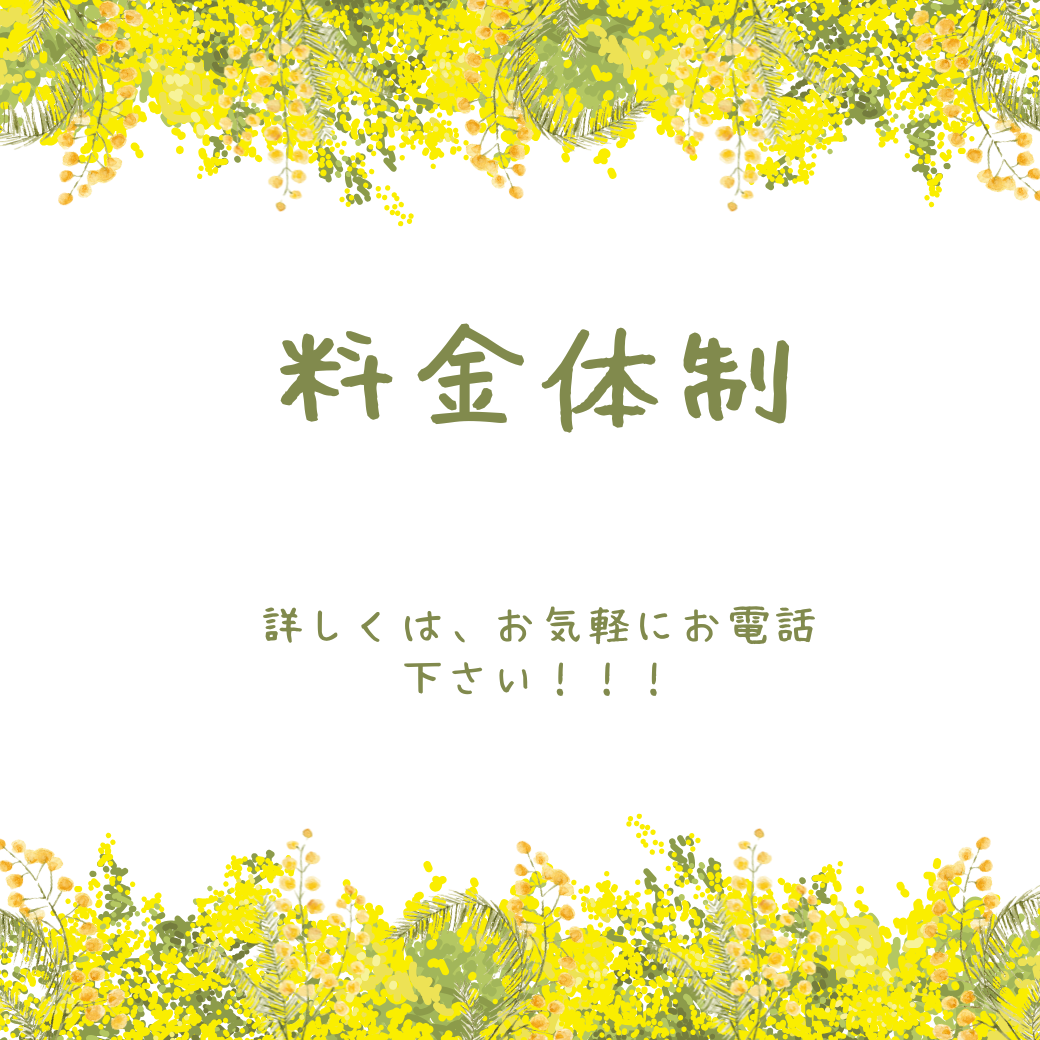 2-料金体系