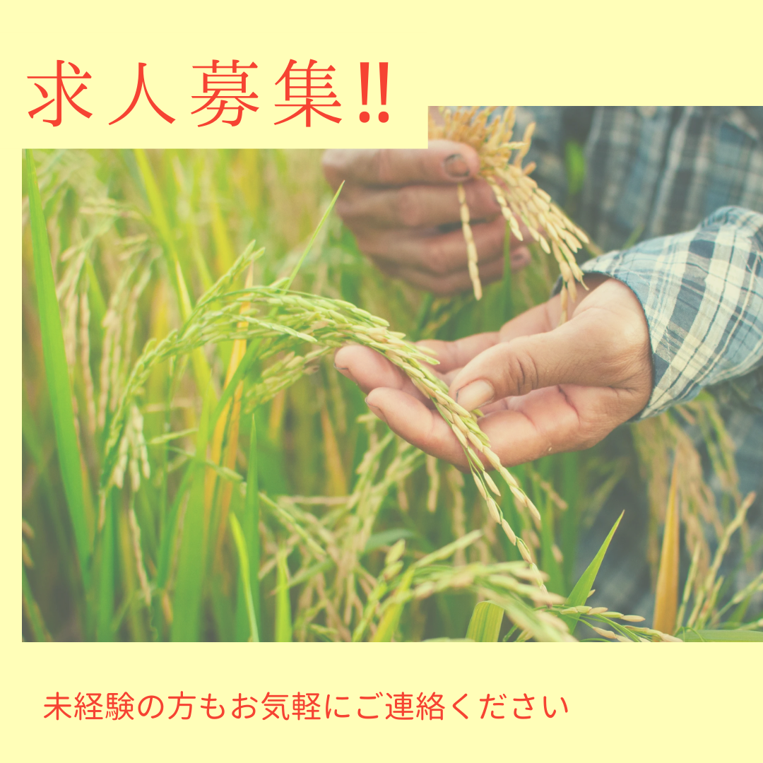 0-未経験者の方も大歓迎！！