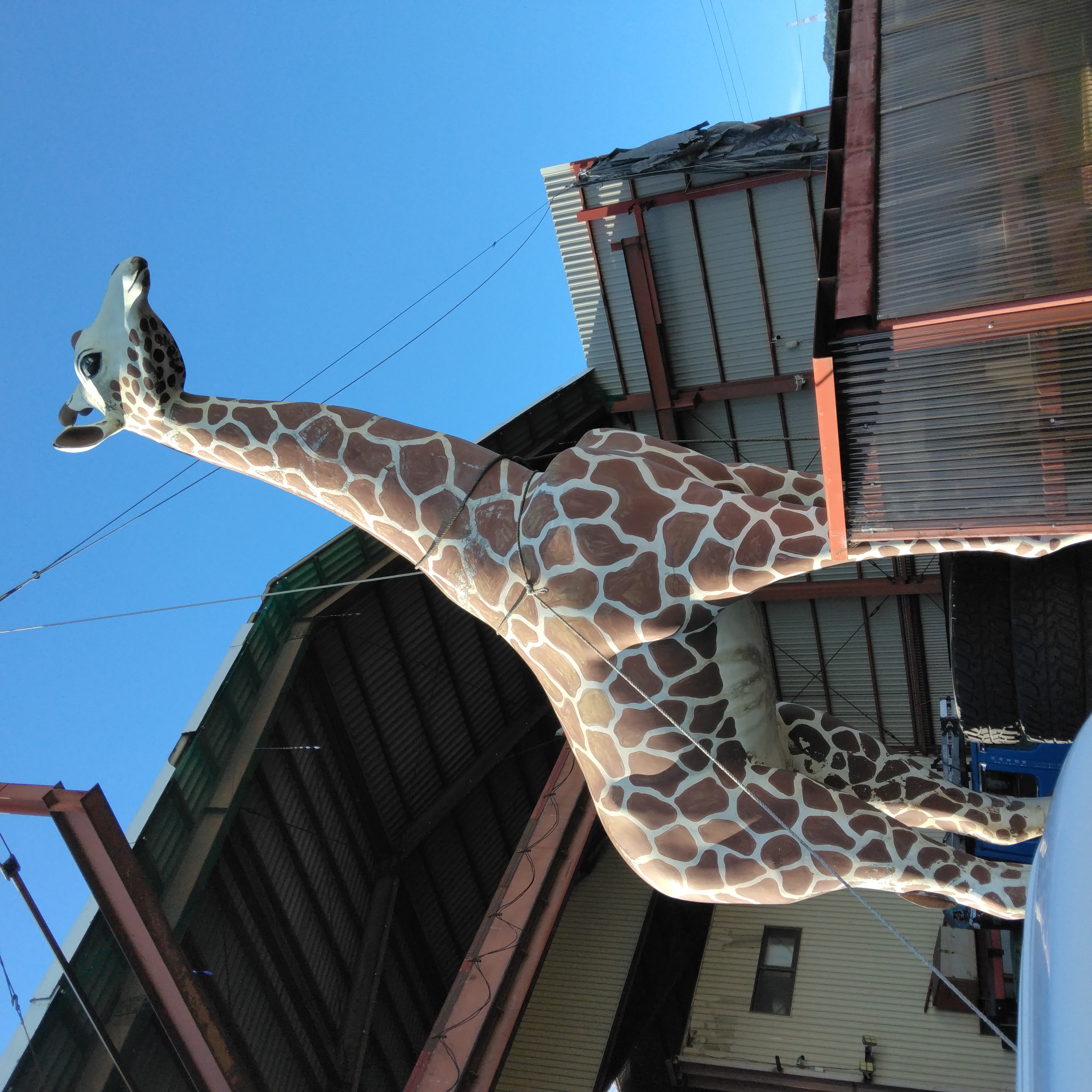 会社の建物