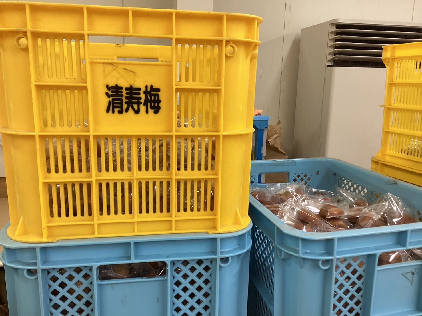 1-梅干卸し