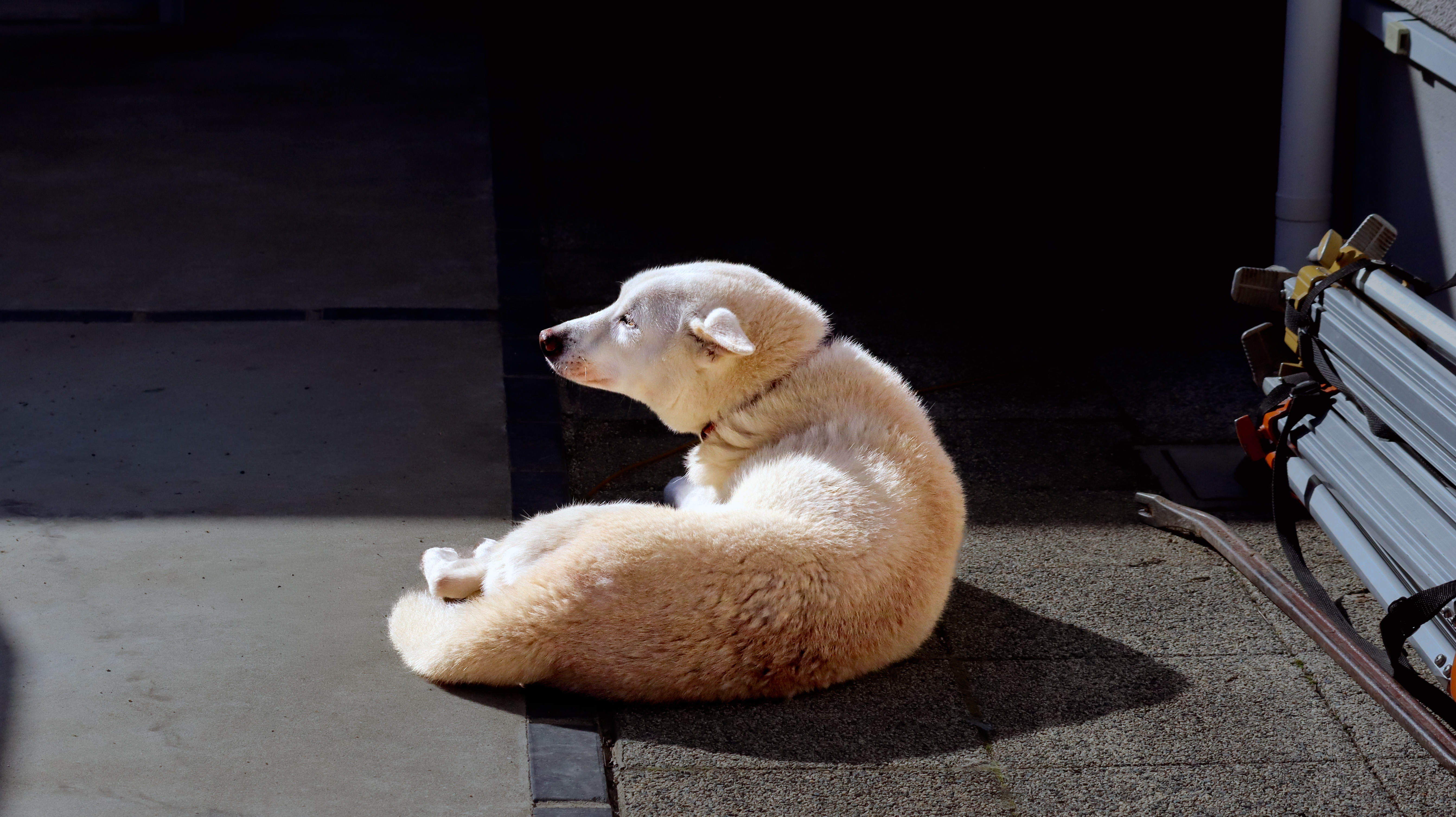 宮本良の写真
