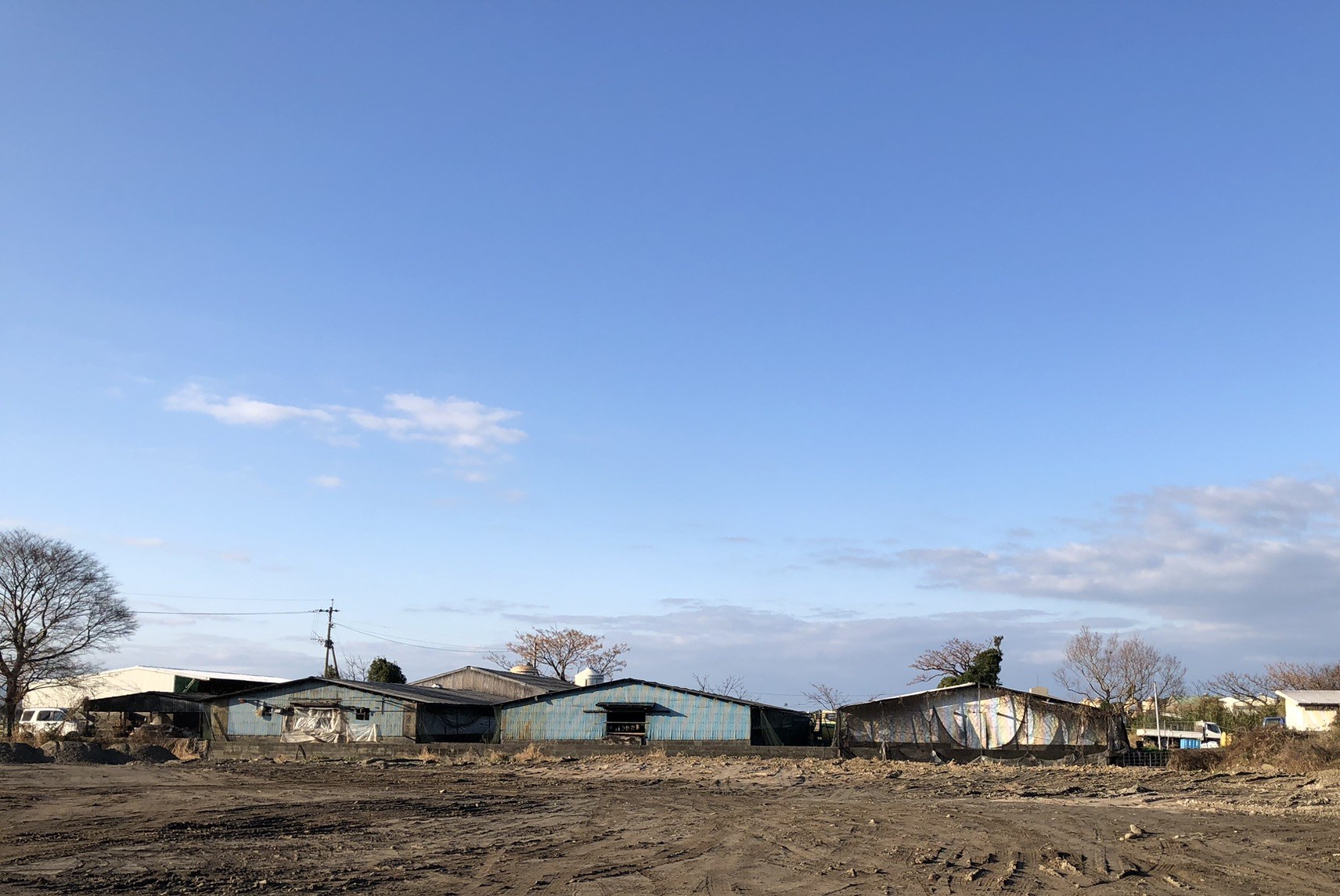 会社の建物