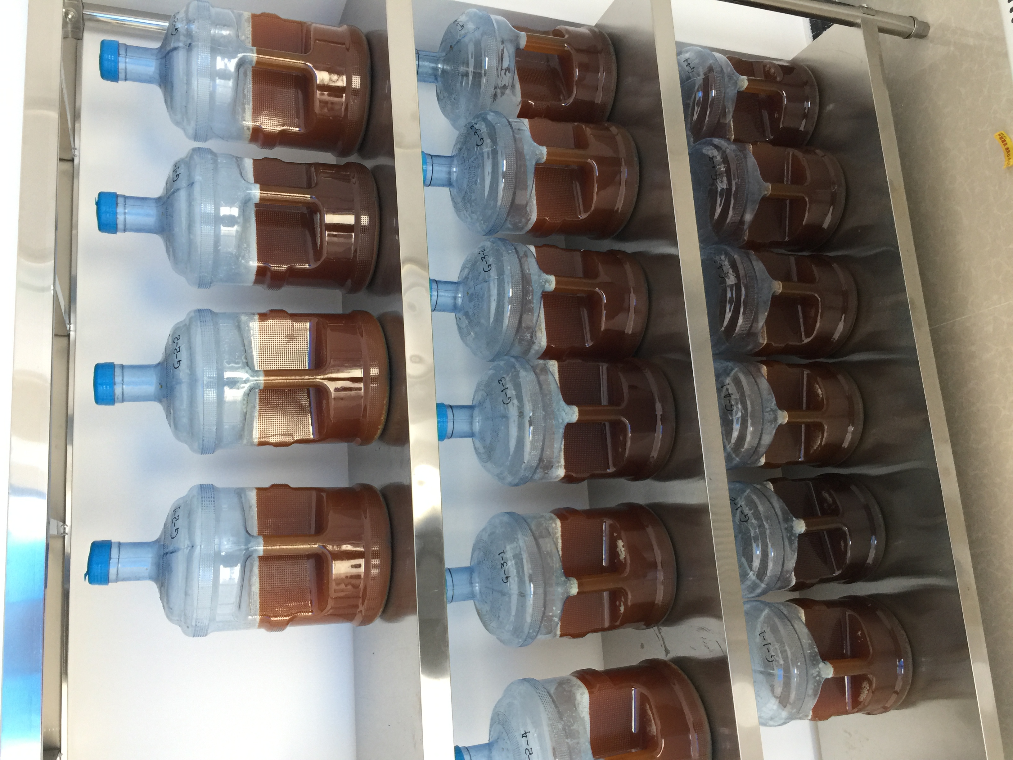 2-オリジナル乳酸菌を自社で開発